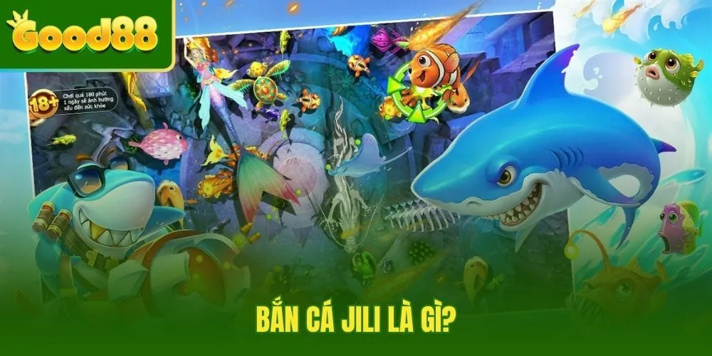 ban-ca-jili-la-gi