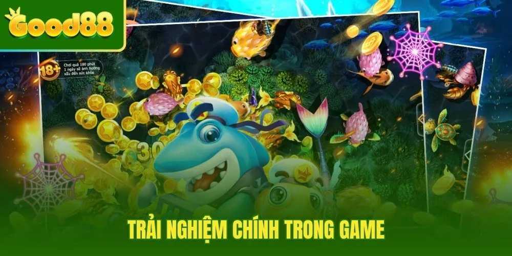 trai-nghiem-chinh-trong-game